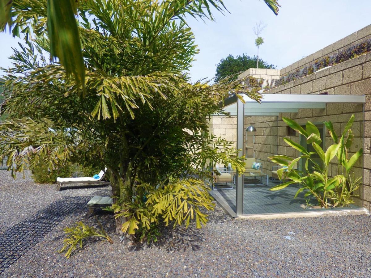 Eco Suites Caves 拉拉古纳 外观 照片
